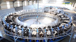 The Incredible Rotary Milking Parlour from Dairymaster [upl. by Noet265]