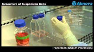 Subculture of Suspension Cells [upl. by Norb]