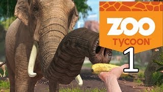 NEW ANIMALS NEW ZOO  Zoo Tycoon  Ultimate Animal Collection 1 [upl. by Cull]