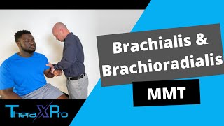 Manual Muscle Test  Brachialis and Brachioradialis [upl. by Elenaj]