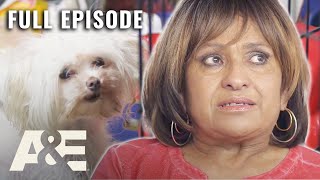 Celias HOARD of Shoplifted Items and ILLEGAL Dogs S1 E16  Hoarders Overload  Full Episode [upl. by Shapiro285]