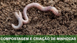 COMPOSTAGEM E CRIAÇÃO DE MINHOCAS [upl. by Engracia]