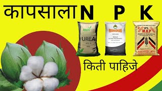 कापसाला कोणते खत किती टाकावे  Cotton NPK fertilizer l [upl. by Ealasaid526]