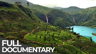 Amazing Quest Stories from Sri Lanka  Somewhere on Earth Sri Lanka  Free Documentary [upl. by Nimar761]