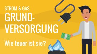 Grundversorgung Strom amp Gas – wie teuer ist sie und wie kann man sparen  cheapenergy24 [upl. by Orianna]