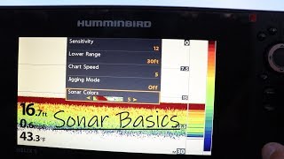 Complete Guide to Fishing Electronics How to Read Fish Finder [upl. by Akiehsal]