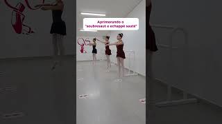 Quer mais sobre ballet infantil Entre no meu canal 💫💖 [upl. by Downs]