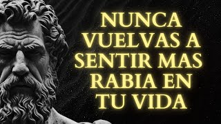 Nunca te enojarás más después de escuchar esta medicina de frases ESTOICAS sobre la ira  Estoicismo [upl. by Hermes]