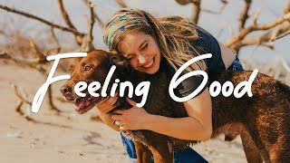 Feeling Good ✨ Just a happy playlist to make your day happy  AcousticIndiePopFolk compilation [upl. by Vadim497]