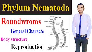 Phylum Nematoda Urdu Hindi Roundwormszoology Full lecture By Shahzad Rasool Learning Zoology [upl. by Phillie178]