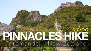 BEST HIKE IN THE COROMANDEL NEW ZEALAND   twoplustwocrew [upl. by Katerina]