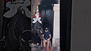 King Guard kindness with disabled man kingsguard alanwalker horse kindness [upl. by Caria513]