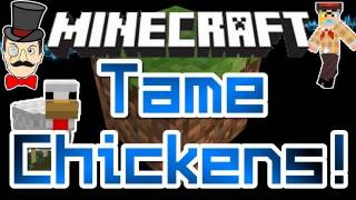 Minecraft Mods  TAME CHICKEN Flying Hat amp Breed Yellow Baby Chicks Mod [upl. by Mcleroy]