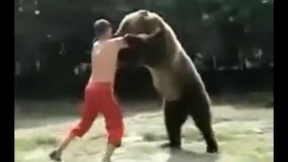 Khabib Nurmagomedov vs Bear [upl. by Nannah]