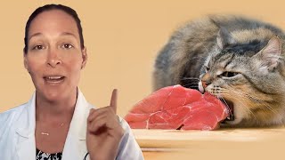 Viva Raw Cat Food Review Do 13YearOld Ragdolls Like It [upl. by Ainerol]