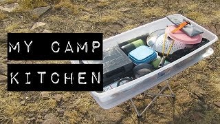 MY CAR CAMPING KITCHEN Cheap VandwellingOverlanding Cooking Setup [upl. by Stier745]