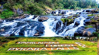 Ooty waterfall pykara forest  ooty trip  ooty vlog budget tour  ooty tour guide [upl. by Kalil613]