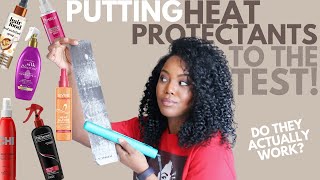 Putting Heat Protectants to the Test Do They Really Protect Your Hair 🤔  Natural Hair [upl. by Erbe]