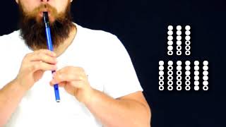 Vulgaris Magistralis  Tin Whistle Tutorial [upl. by Suryc]