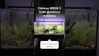 My first upgrade from low to high tech with the Chihiros WRGB II SLIM ❤️ ChihirosAquaticStudio [upl. by Adnirim]