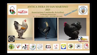 II Mostra Intersociale ALA  Inveruno 2023  Premiazione [upl. by Vivianna889]