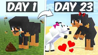 A Day in a Life of a Dog in Minecraft [upl. by Alper]