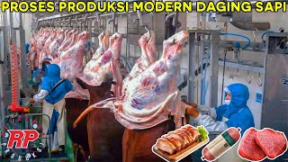 PROSES PRODUKSI MODERN DAGING SAPI DI PABRIK DANISH CROWN DAN TURKEY [upl. by Gilly725]