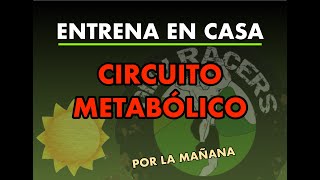 CIRCUITO METABÓLICO [upl. by Koral466]