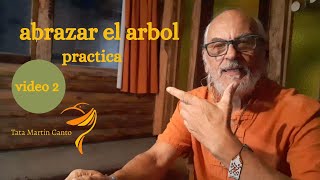 SEGUNDA PARTE Qigong postura abrazar el árbol EXPLICACION ENERGETICA [upl. by Karolina493]