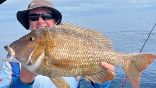 Fishing Rock Cod Shoals and Masthead Island MONSTER SWEETLIP Gladstone Queensland Ep 49 [upl. by Rochemont]