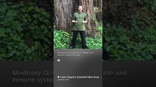 Mindbody Qi Gong flow for Health and Immune system strength [upl. by Hackney]