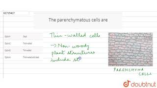 The parenchymatous cells ar [upl. by Adiv]