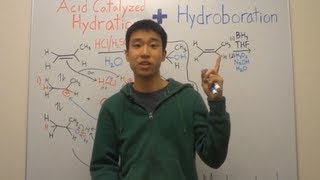 Hydroboration Oxidation Reaction and Mechanism Made Easy Alkene Addition  Organic Chemistry [upl. by Tloc604]