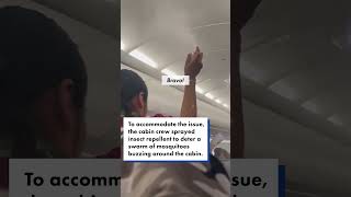 Flight nightmare Mosquito swarm wreaks havoc on airplane as cabin crew panic shorts [upl. by Varini]