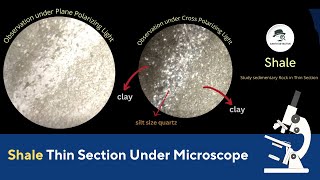 Shale Thin Section under Microscope with optical Properties of Rocks [upl. by Gere]