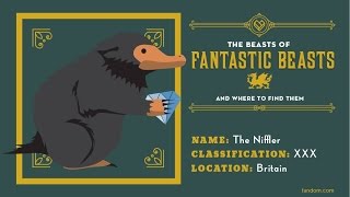 How To Make Fantastic Beasts Niffler And Pirate Treasure Diorama [upl. by Karolina780]