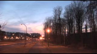 Wild Neighbors  Crow Roost [upl. by Nennerb]