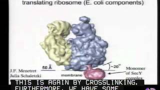 Mechanisms of Protein Translocation Across Membranes [upl. by Aiekal313]