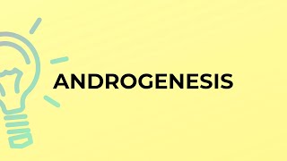 What is the meaning of the word ANDROGENESIS [upl. by Nnoved608]