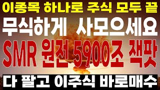 주식 2000조 SMR 원전 독점 이 기업 30배 성장 한 주라도 사모으세요9월주식전망 두산에너빌리티 원전관련주 대한전선 원전대장주 [upl. by Ecydnak155]