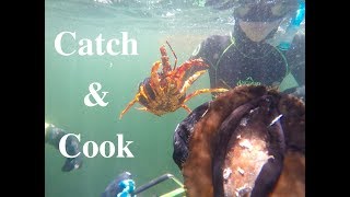 Catch amp Cook  Tasmanian Abalone and Crayfish  舌尖上的塔斯马尼亚——澳龙和澳鲍 [upl. by Chaille]