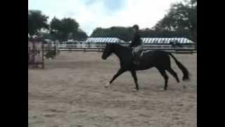 Legacy HITS Ocala 2012 Large Junior Hunter [upl. by Cirred]