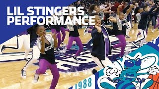 Charlotte Hornets Lil Stingers Performance  November 3 2018 [upl. by Judith924]