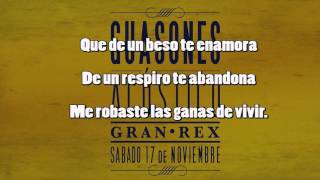 Guasones  Parque de depresiones AUDIO FULL ALBUM 2011 [upl. by Agnot]