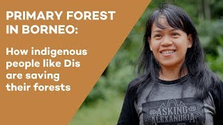 Interview with Disrekia quotPalm oil is a cancerquot [upl. by Sukin]