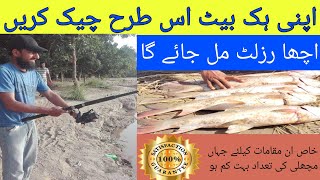 carp fishing best hook bait  آٹے کی گولی [upl. by Eynttirb531]