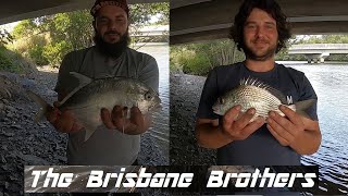 BULIMBA CREEK FISHING NICE TREVALLY  BREAM SAFE RELEASE [upl. by Avril]