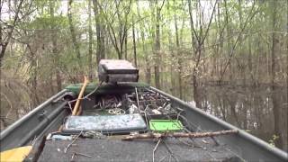 Fishing Tombigbee River Alabama [upl. by Mcroberts]