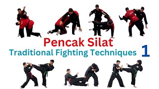 Traditional Silat Fighting Techniques Part 1 [upl. by Lukash450]