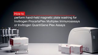 How to perform handheld magnetic plate washing for Invitrogen™ Luminex® based multiplex assays [upl. by Tesil]